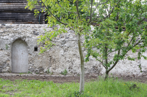 A Montreuil, les Murs à Pêches constituent un patrimoine historique et naturel de la ville