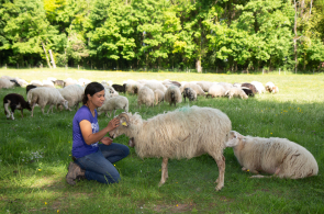Audrey Garcia mène un projet d'élevage de brebis en itinérance et fabrique ses propres fromages
