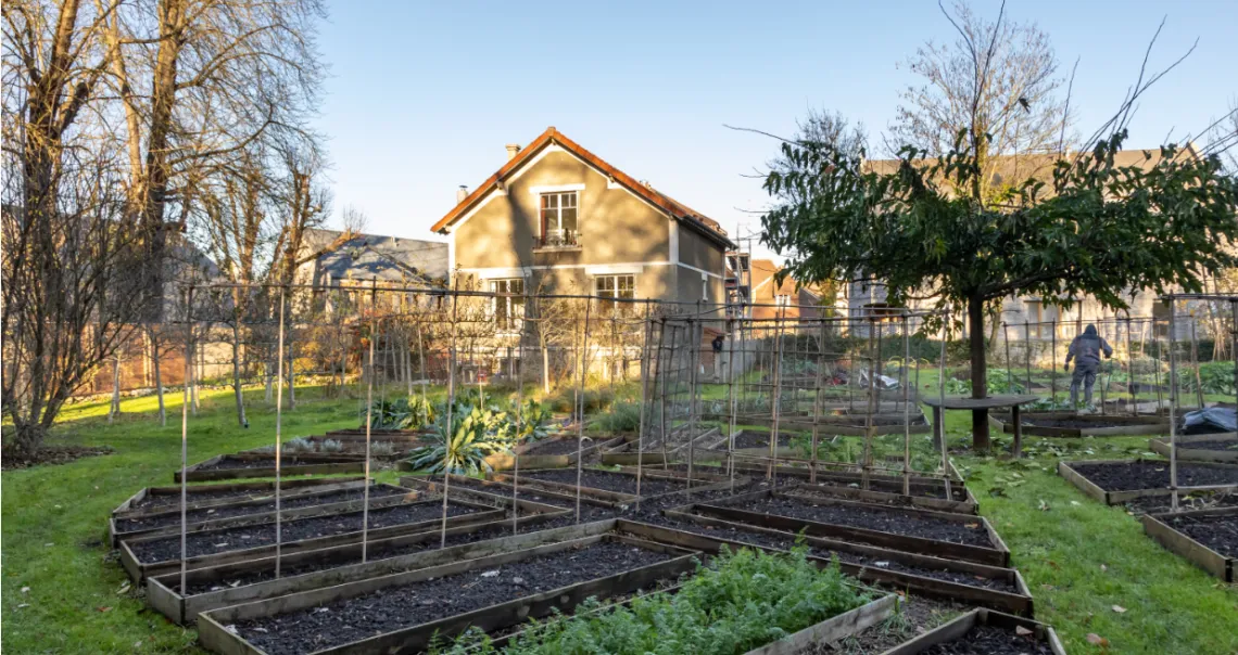 Des plantations dans des bacs de terres dans un coin du domaine 