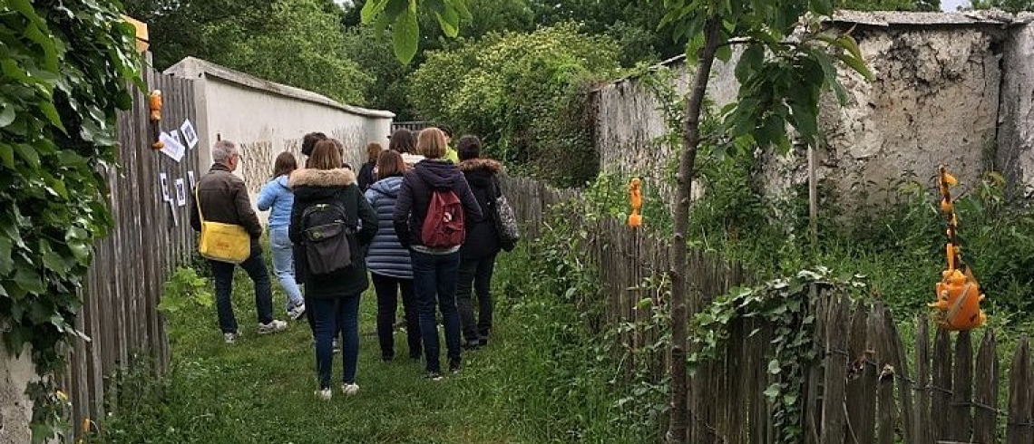 Visite dans les murs à pêches à Montreuil