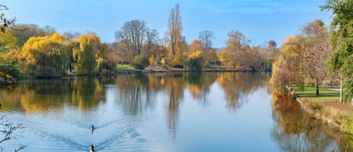 Photo d'une étendue d'eau entourée d’arbres, en Ile-de-France
