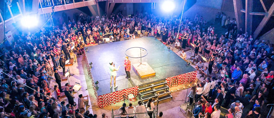  Photo d'un spectacle du Plus Petit Cirque du Monde