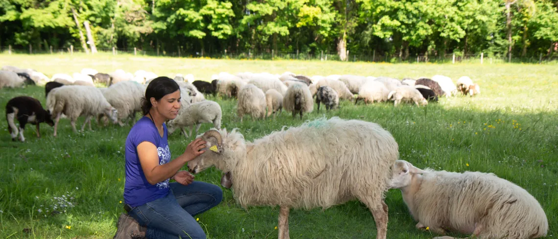 Photo d'une éleveuse de brebis 