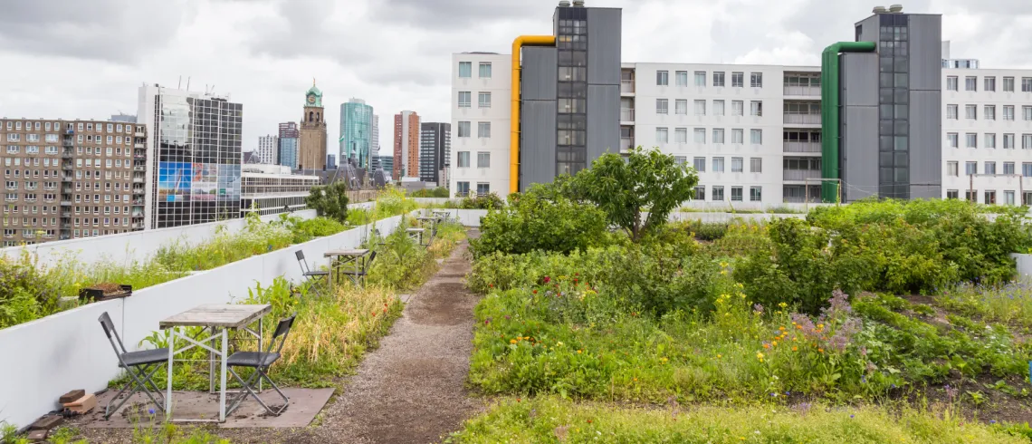 Photo des toits urbains européens