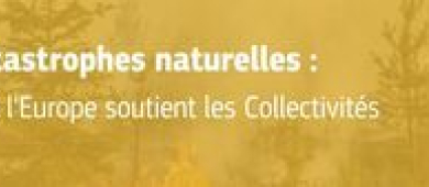 image de l'agenda