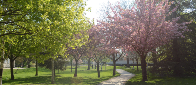 Photo d'un parc de la Ville de Chelles