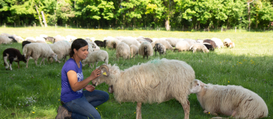 Photo d'une éleveuse de brebis 