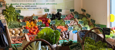 Les étales de légumes de la boutique du potager