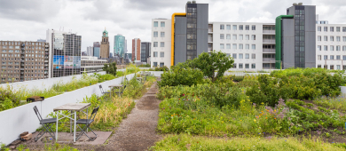 Photo des toits urbains européens