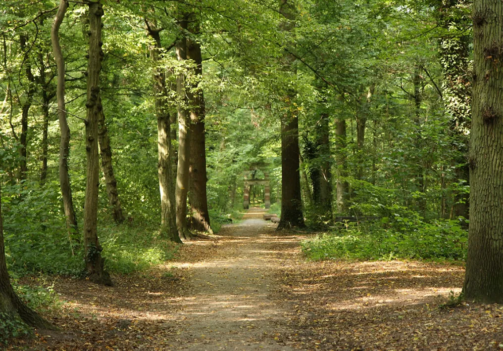 Parc forestier de la Poudrerie